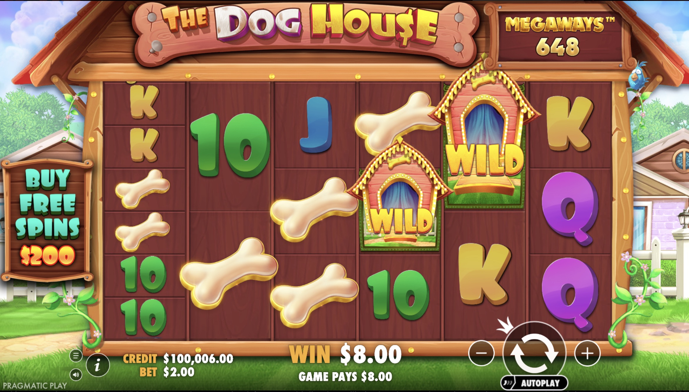 Example of winning combination with x2 and x3 multiplier Wilds in The Dog House Megaways